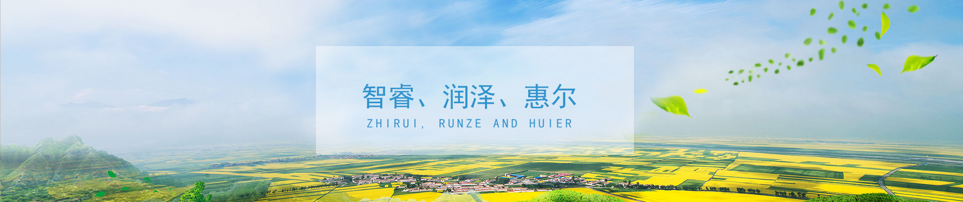 &#20048;&#40060;&#32593;&#39029;&#29256;&#45;&#20048;&#40060;&#40;&#20013;&#22269;&#41;